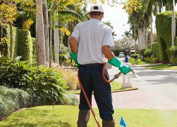 About Playa Vista CA Pest Control Pros